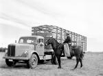 Scania-Vabis L51 1955 года